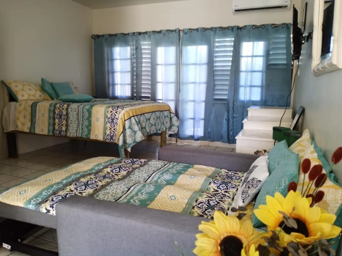 Ridgeway Guest House Montego Bay 0*,